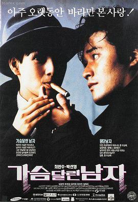 长片型分类索引贴纸示意